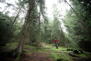 Sisli bir günde ormanda tek başına yürüyen bir adam.