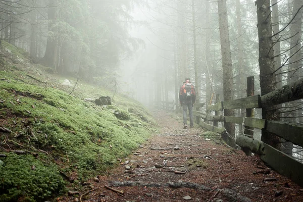 Egy Férfi Egyedül Sétál Erdőben Egy Ködös Napon — Stock Fotó