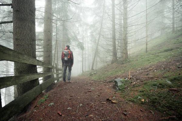 Homem Caminhando Sozinho Dentro Uma Floresta Dia Nebuloso — Fotografia de Stock