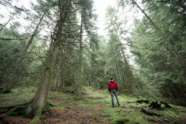Egy Férfi Egyedül Sétál Erdőben Egy Ködös Napon — Stock Fotó