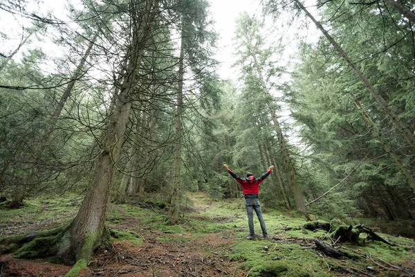 Hombre Caminando Solo Dentro Bosque Día Niebla —  Fotos de Stock