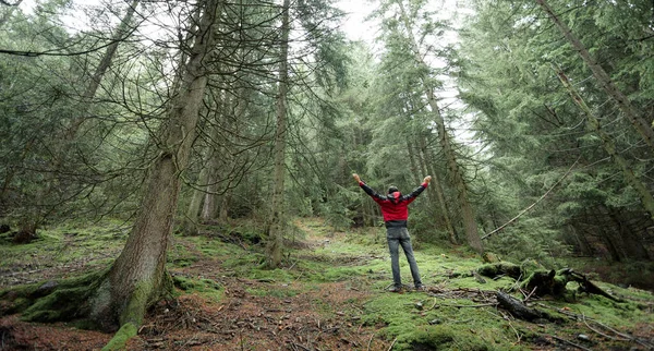 Sisli bir günde ormanda tek başına yürüyen bir adam.