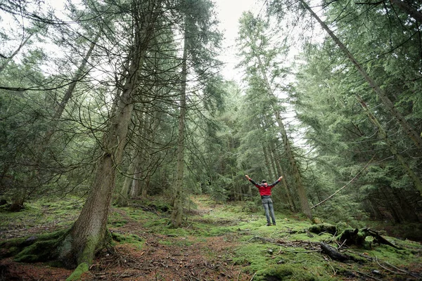 Sisli bir günde ormanda tek başına yürüyen bir adam.