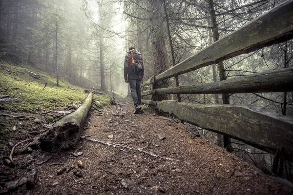 Homme Marchant Seul Dans Une Forêt Dans Jour Brumeux — Photo