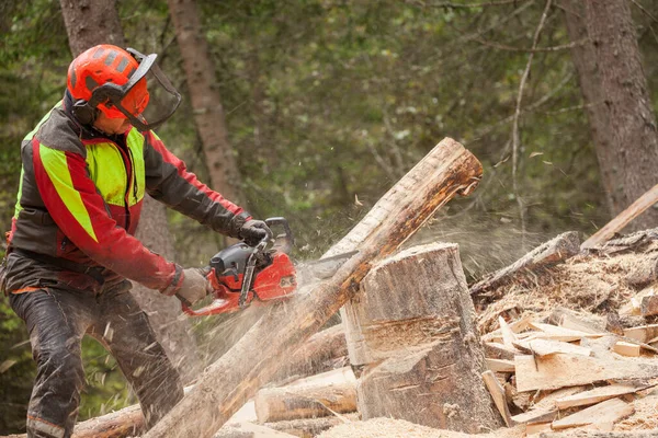 Lenhador Que Trabalha Com Segurança Com Motosserra Equipamento Proteção Dentro — Fotografia de Stock