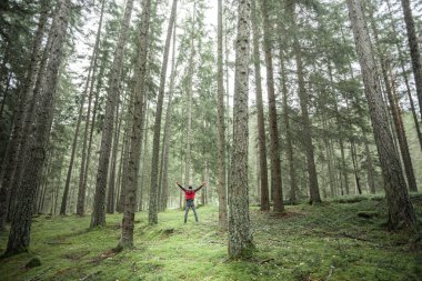 Bulutlu bir günde ormanda tek başına yürüyen bir adam.
