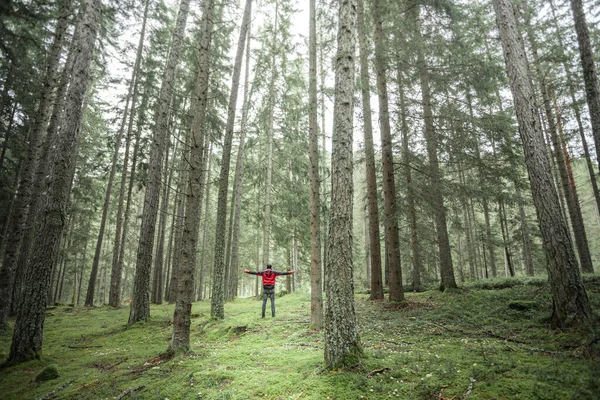 Een Man Die Alleen Door Een Bos Loopt Een Bewolkte — Stockfoto