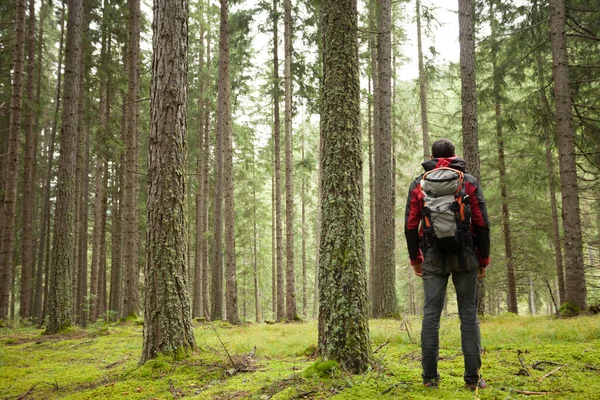 Homme Marchant Seul Dans Une Forêt Par Une Journée Nuageuse — Photo