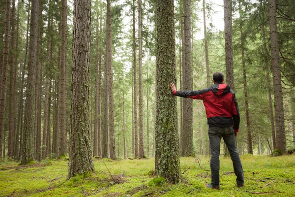 Homme Marchant Seul Dans Une Forêt Par Une Journée Nuageuse — Photo