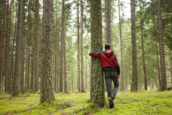 Egy Férfi Ölelget Egy Fát Erdőben — Stock Fotó