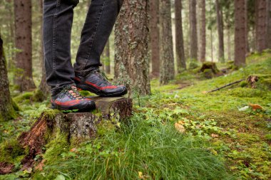 Ağaçların arasında yürüyorum.