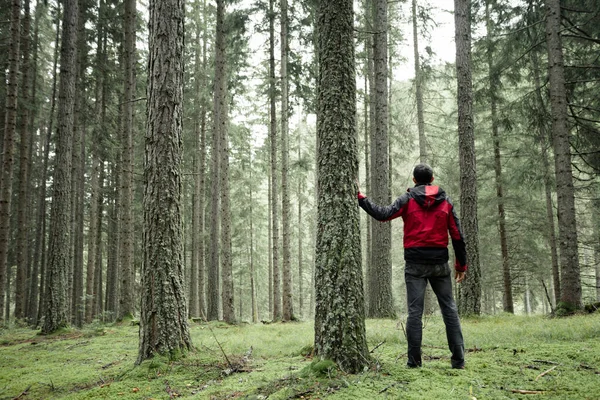 Homme Marchant Seul Dans Une Forêt Par Une Journée Nuageuse — Photo