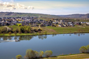 Mosel Nehri'nin ve üzüm bağları manzara parlak Piesport Rheinland Pfalz Almanya yeşil bahar