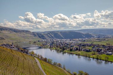 Mosel Nehri'nin ve üzüm bağları manzara parlak Piesport Rheinland Pfalz Almanya yeşil bahar