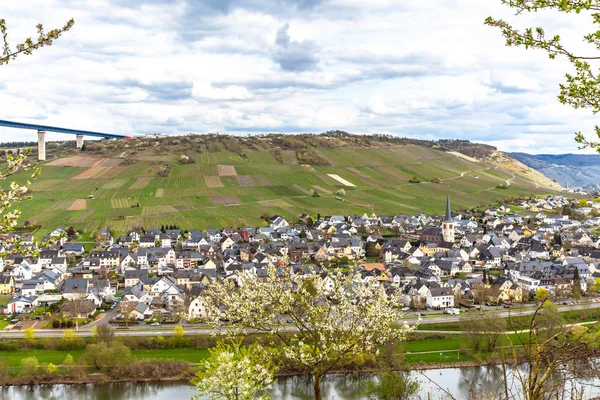 Zeltingen Rachtig Kasaba Moselle Rheinland Pfalz Almanya Güzel Yerleri Nehrinde — Stok fotoğraf