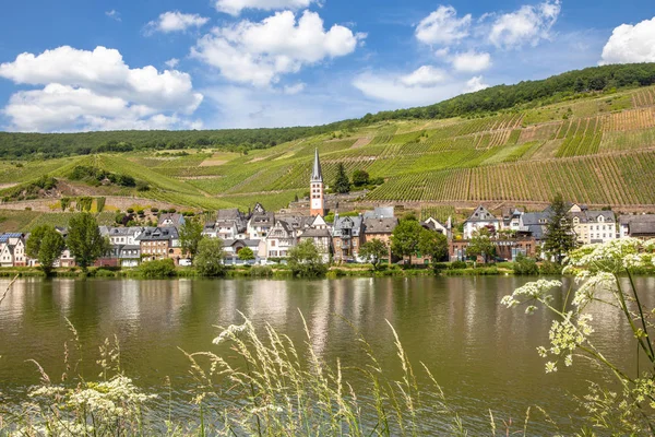 村庄麦罗在河畔 Mosel 和葡萄园风景德国有趣的地方 — 图库照片