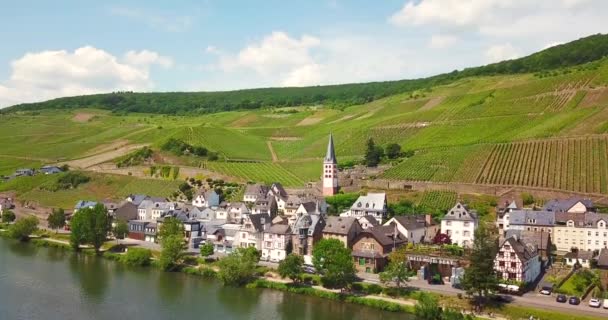 興味深い場所リバーサイド モーゼル川とブドウ畑風景ドイツ Merl 村の空撮をドローンします — ストック動画