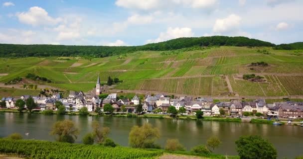 Drohnen Luftbild Des Dorfes Merl Der Mosel Und Weinberglandschaft Deutschlands — Stockvideo