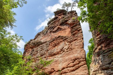 Kırmızı kumtaşı Almanya Pfalz Orman Doğa Güney kayalarda tırmanmaya