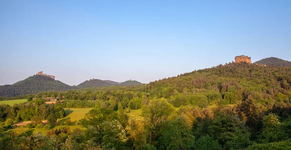 South Palatinate Forest Landscape Castle Trifels Germany Nature — Stock Photo, Image