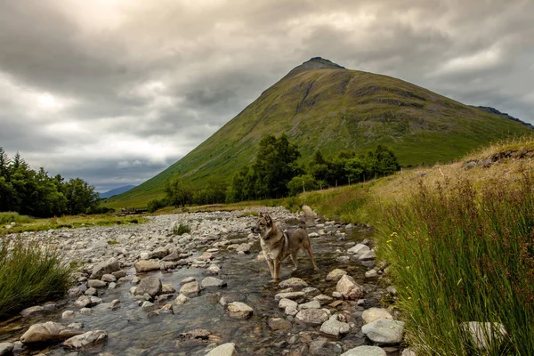 Escocia Highlands Mistic Paisaje Paisaje Puente Orchy Naturaleza Viajar Gran —  Fotos de Stock