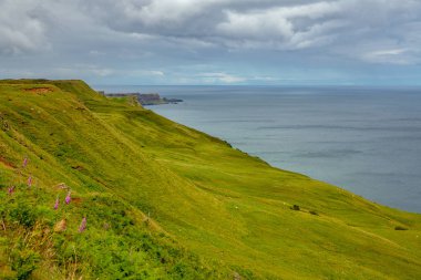 Isle of Skye İskoçya Hebrides Adası'nda sahil peyzaj yeşil çayıra