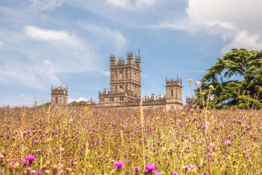 Highclere Kalesi olarak sity abbey kır çiçekleri çayır newbury İngiltere ile ünlü
