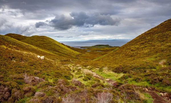 Quiraing Hiking Trail Landscape Isle Skye Scotland Nature Experience Hebrides — Stock Photo, Image