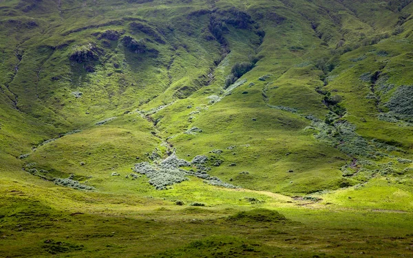 Highlands Auténticas Colinas Verdes Hierba Paisaje Escocia Naturaleza Fondo —  Fotos de Stock