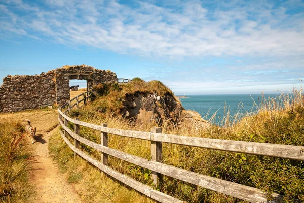 Wales Coast Path Fishguard Coastline Landschap Een Eerlijke Zomerdag Natuur — Stockfoto