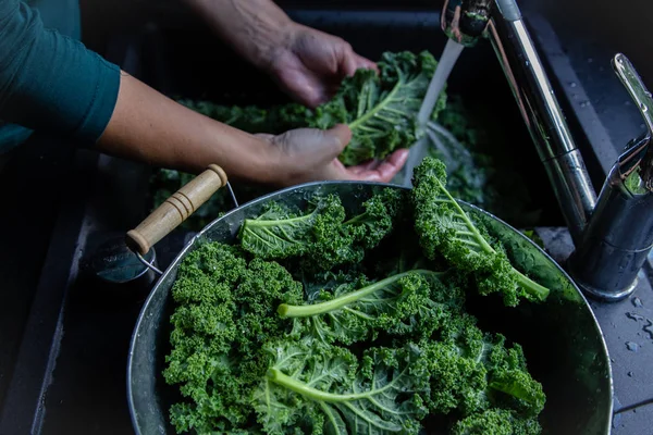 Mujer Está Lavando Hojas Col Rizada Con Agua Fregadero Cocina —  Fotos de Stock