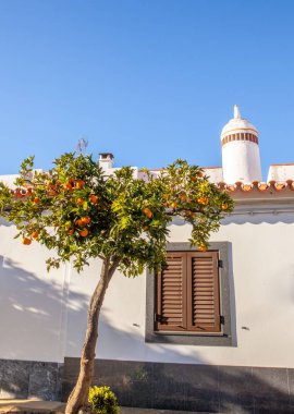 Portakal ağaçlarının Allley renkli kentin Mourao güneşli Alentejo Portekiz