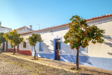 Portakal ağaçlarının Allley renkli kentin Mourao güneşli Alentejo Portekiz