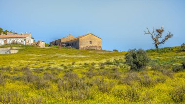 Kış ikametgah güneşli Alentejo Portekiz yükselmek üzerinde birçok leylek peyzaj