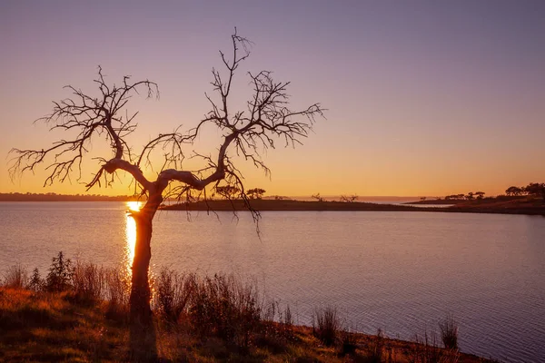 Seenlandschaft Bei Sonnenuntergang Vom Alqueva Stausee Der Portugiesischen Alentejo Naturlandschaft — Stockfoto