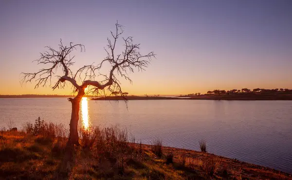 Seenlandschaft Bei Sonnenuntergang Vom Alqueva Stausee Der Portugiesischen Alentejo Naturlandschaft — Stockfoto