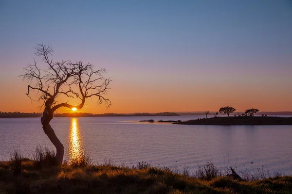 Seenlandschaft Bei Sonnenuntergang Vom Alqueva Stausee Der Portugiesischen Alentejo Naturlandschaft — Stockfoto