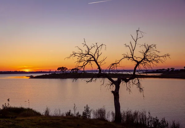 Seenlandschaft Bei Sonnenuntergang Vom Alqueva Stausee Der Portugiesischen Alentejo Naturlandschaft — Stockfoto