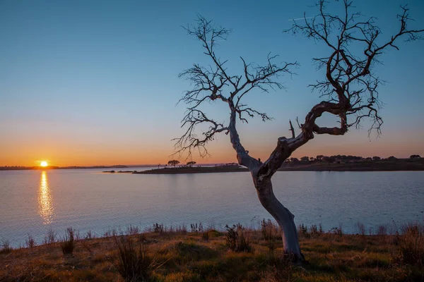 Coucher Soleil Sur Lac Depuis Réservoir Eau Alqueva Portugal Alentejo — Photo