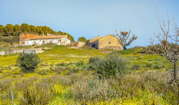 Landskap Många Storkar Hustaket Vinter Hemort Soliga Portugal Alentejo — Stockfoto