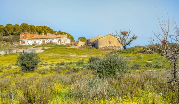 Paisagem Muitas Cegonhas Casinha Inverno Ensolarado Alentejo Portugal — Fotografia de Stock