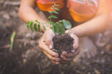bokeh ve doğa ba ile bitki ve toprak tutan çocukların el
