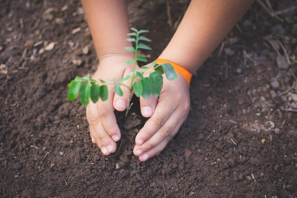 Mão de crianças segurando planta e solo com bokeh e natureza ba — Fotografia de Stock