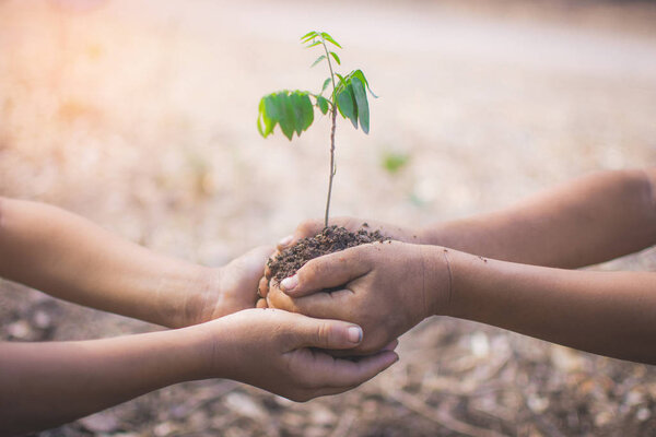 hand of children holding plant and soil with bokeh and nature ba