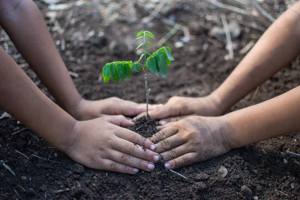 Mão de crianças segurando planta e solo com bokeh e natureza ba — Fotografia de Stock