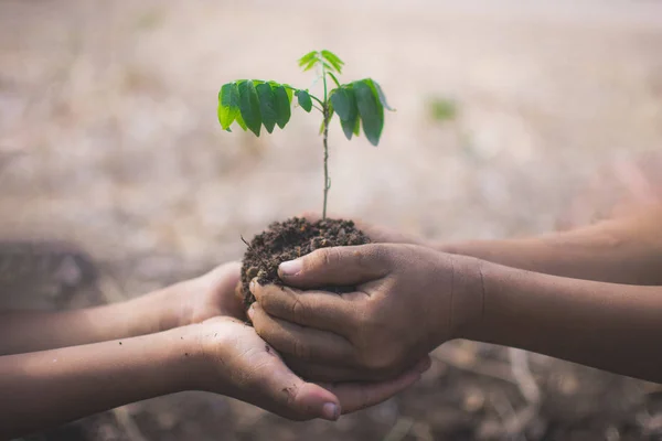 hand of children holding plant and soil with bokeh and nature ba