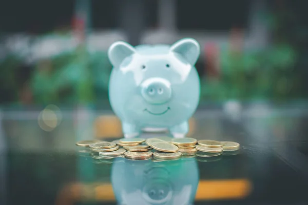 Salvadanaio blu maiale e moneta denaro con sfondo naturale. morbido — Foto Stock
