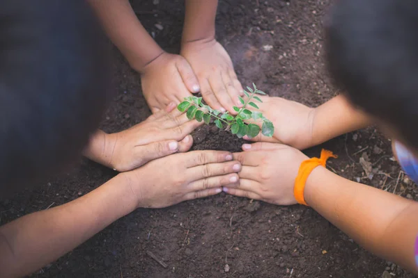 Το χέρι των παιδιών που κατέχουν φυτό και το έδαφος με bokeh και φύση BA — Φωτογραφία Αρχείου