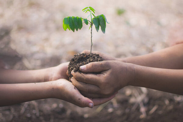 hand of children holding plant and soil with bokeh and nature ba