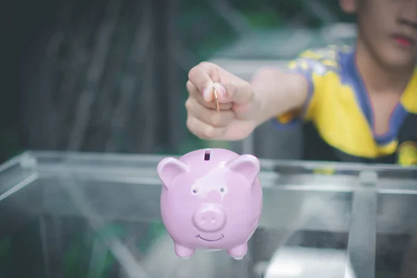 Mano dei bambini ha messo soldi moneta sul salvadanaio rosa maiale e la natura — Foto Stock